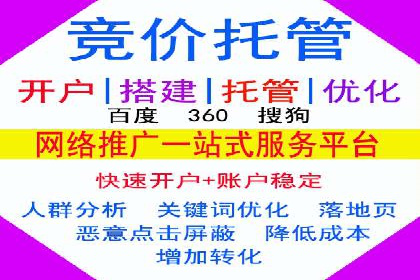 百度竞价代运营成功案例解析